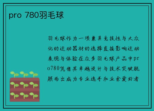 pro 780羽毛球
