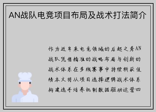 AN战队电竞项目布局及战术打法简介